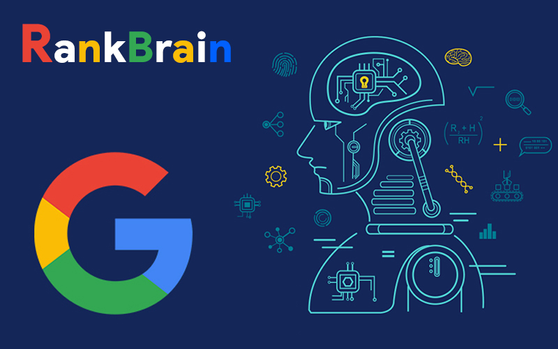 چرا باید الگوریتم رنک برین (Rank Brain) را جدی بگیریم؟